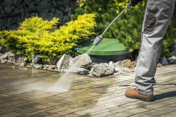 Best Boat and Dock Cleaning  in Five Points, FL